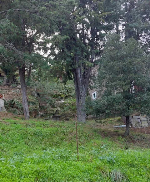 Domaine_05