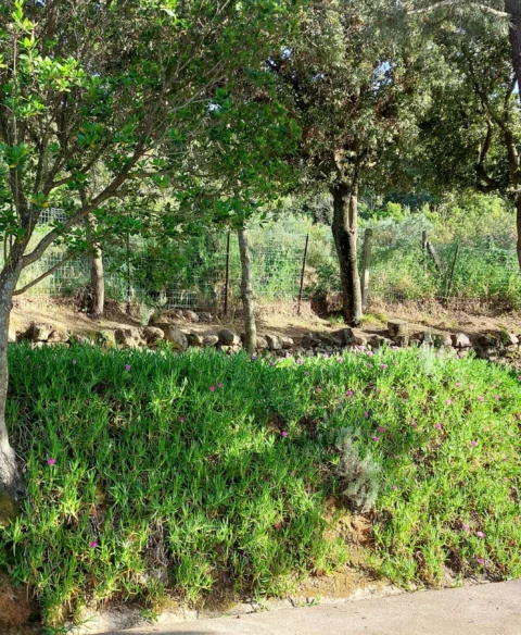 Domaine_10