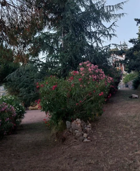 Domaine_13
