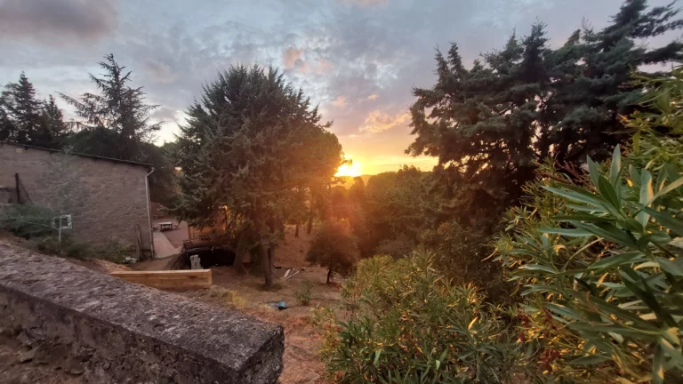 Arghi Couché de Soleil Stalla