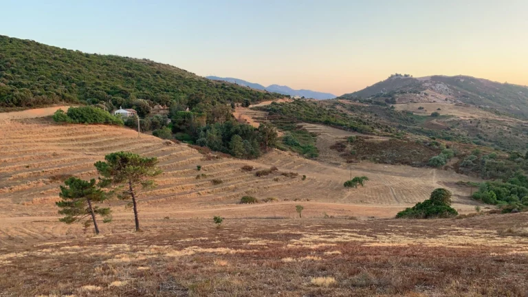 Arghi Vue depuis Pierres Blanches