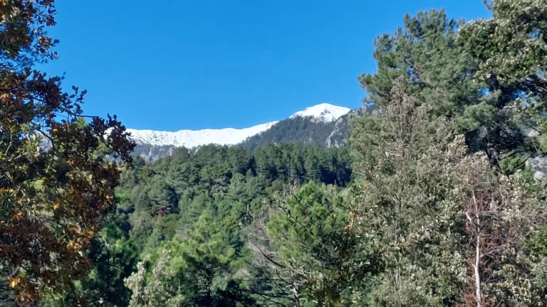 Montagnes Neige Corte